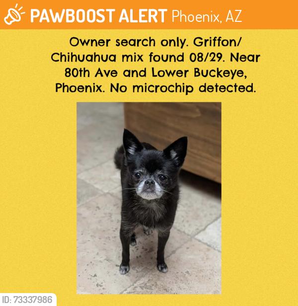 Found/Stray Unknown Dog last seen 80th Ave and Lower Buckeye, Phoenix, AZ 85043