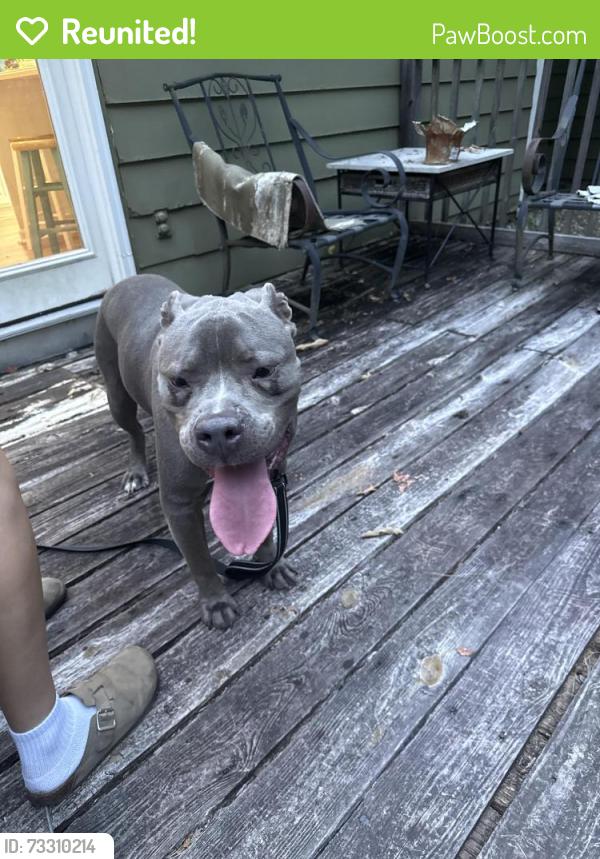 Reunited Male Dog last seen Near Temple Ave Newnan, GA 30263 United States, Newnan, GA 30263