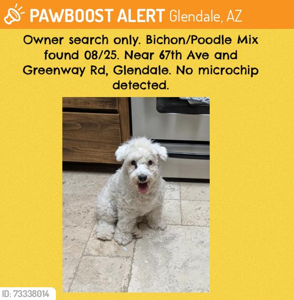 Found/Stray Unknown Dog last seen 67th Ave and Greenway Rd, Glendale, AZ 85306