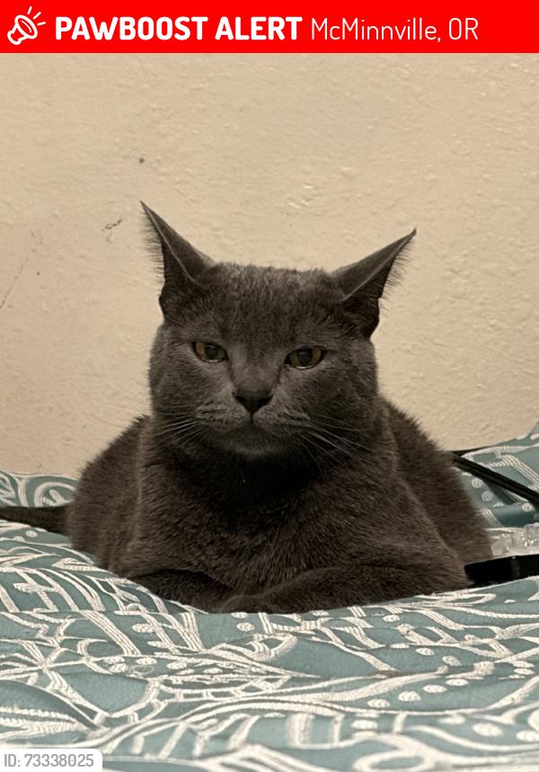 Lost Male Cat last seen Cedarwood Avenue, McMinnville, OR 97128