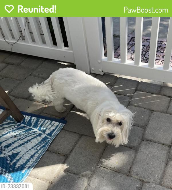 Reunited Female Dog last seen Leon st Oceanside,CA, Oceanside, CA 92057