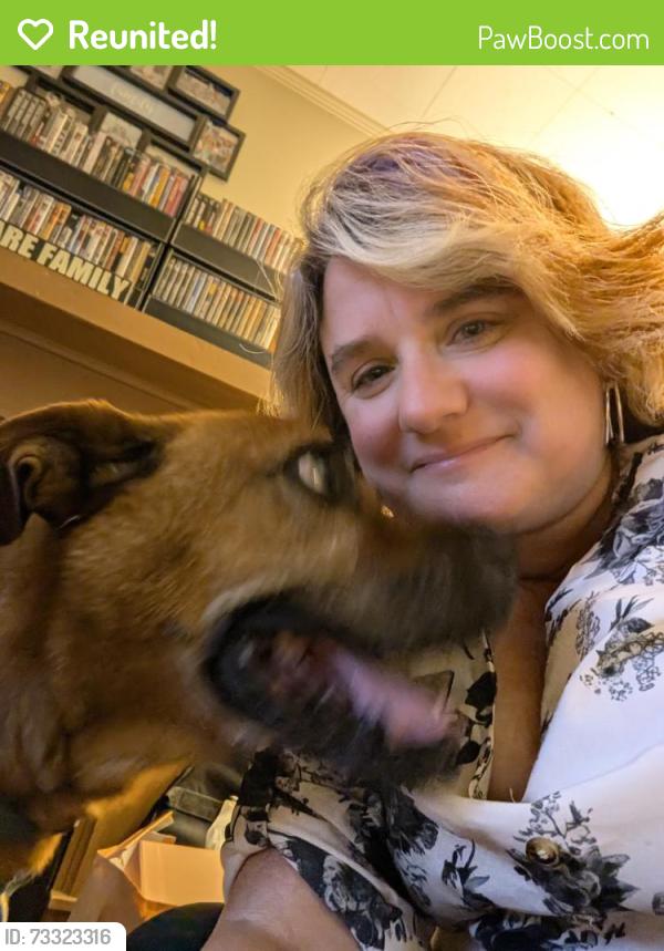 Reunited Male Dog last seen Old US 74 and Bridge Rd, Rutherford County, NC 28040