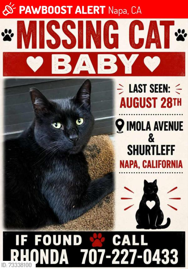 Lost Male Cat last seen Imola Ave & Shurtleff Ave, Napa, CA 94559