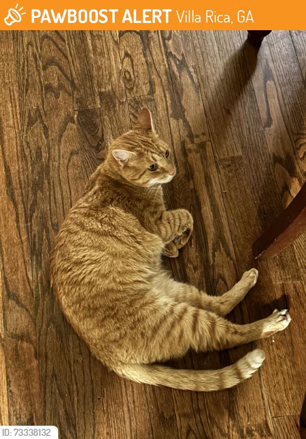 Found/Stray Female Cat last seen Clinton Nature Preserve, Villa Rica, GA 30180
