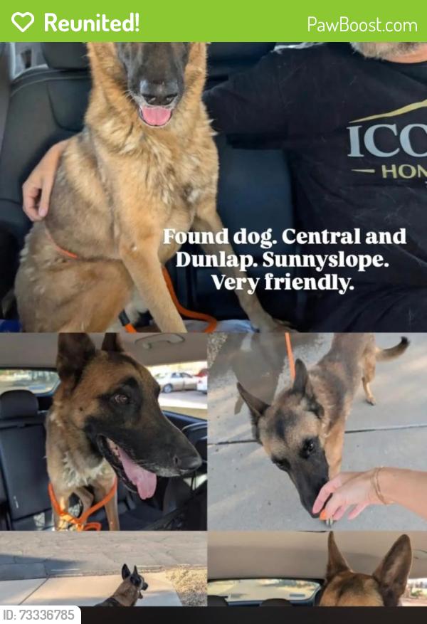 Reunited Male Dog last seen Central Ave and Dunlap, Phoenix, AZ 85020