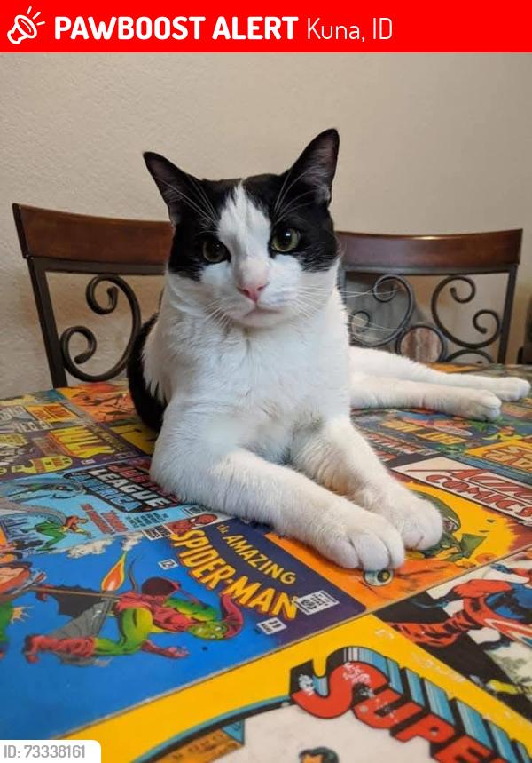 Lost Male Cat last seen Deer flt and Meridian by Bimart, Kuna, ID 83634
