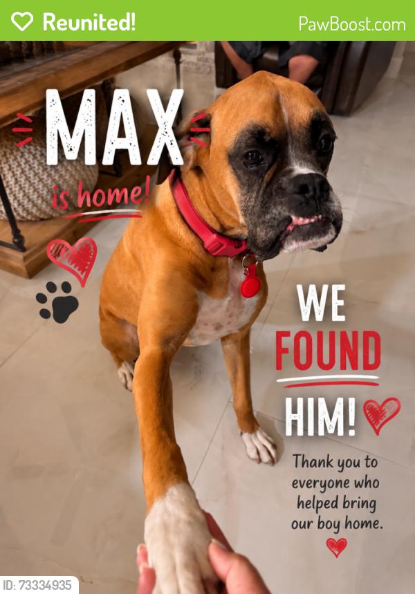 Reunited Male Dog last seen Winding Oaks Blvd, Shady Hills, FL 34667