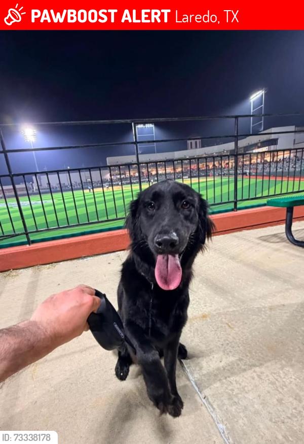 Lost Male Dog last seen Shiloh & I-35, Laredo, TX 78045