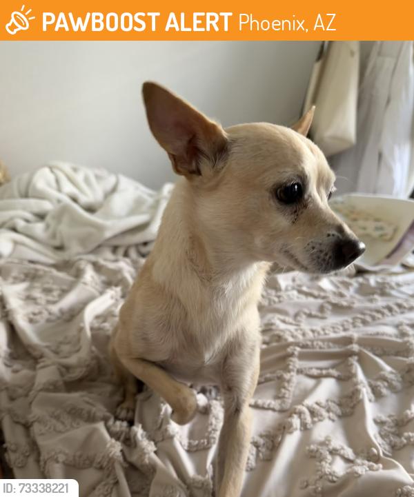 Found/Stray Male Dog last seen Near west thomas road, Phoenix, AZ 85031