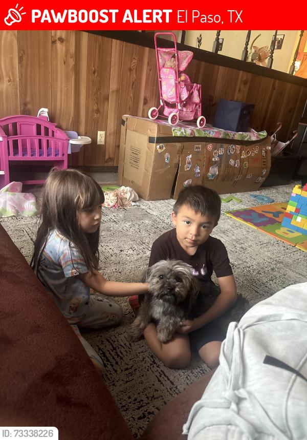 Lost Female Dog last seen fairbanks, El Paso, TX 79924