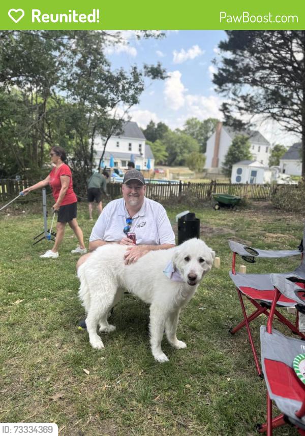 Reunited Female Dog last seen Chalk and oak grove, Wake Forest, NC 27857