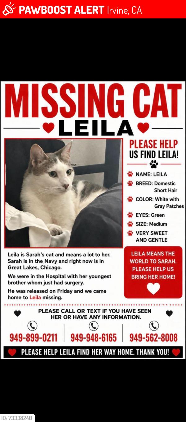Lost Female Cat last seen Kachina, Irvine, CA 92610