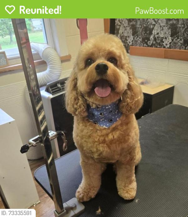 Reunited Male Dog last seen Sandra drive, Newport News, VA 23608