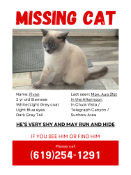 Lost Male Cat last seen Naples and East Palomar, Chula Vista, CA 91911