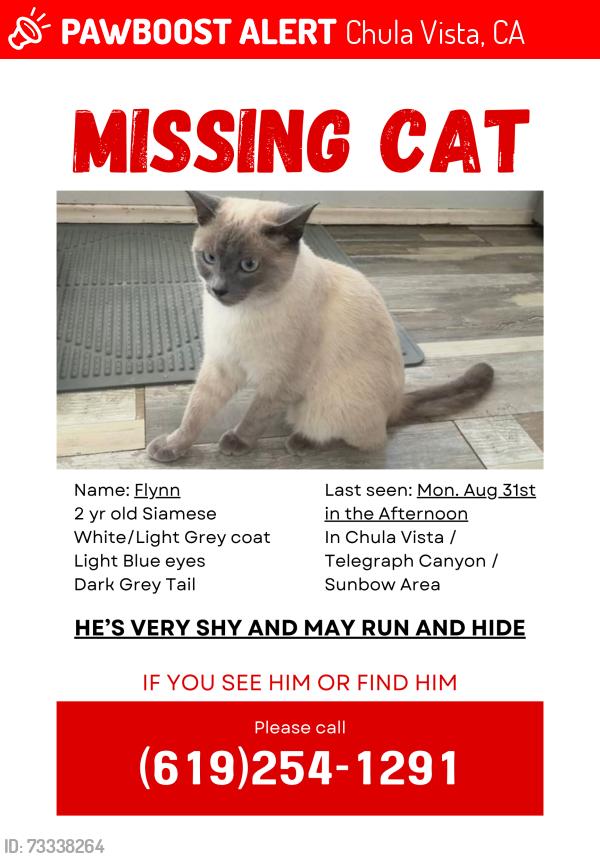 Lost Male Cat last seen Naples and East Palomar, Chula Vista, CA 91911