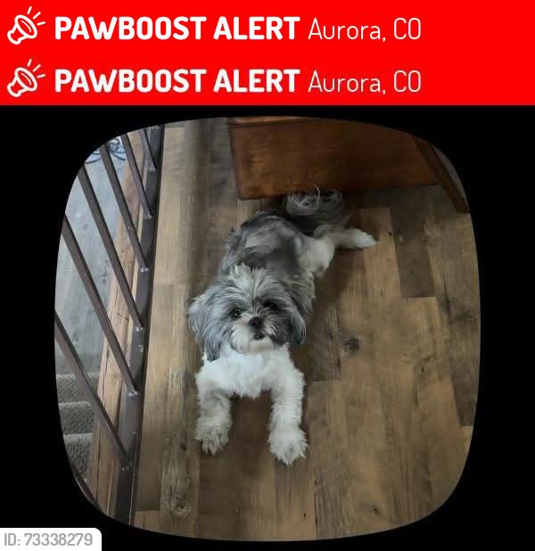 Lost Female Dog last seen 22th, Aurora, CO 80011