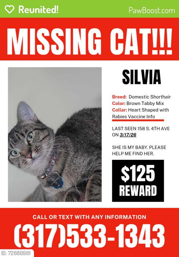 Reunited Female Cat last seen South 4th and Bellefontaine, Beech Grove, IN 46107