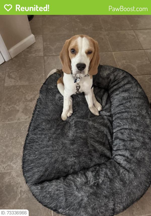 Reunited Male Dog last seen Fern Road, East Brunswick, NJ 08816