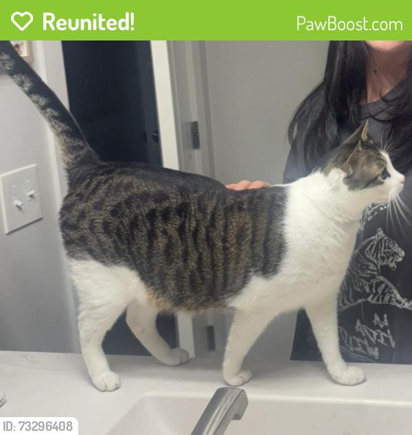 Reunited Male Cat last seen Castlewood trails neighborhood, Yukon, OK 73099