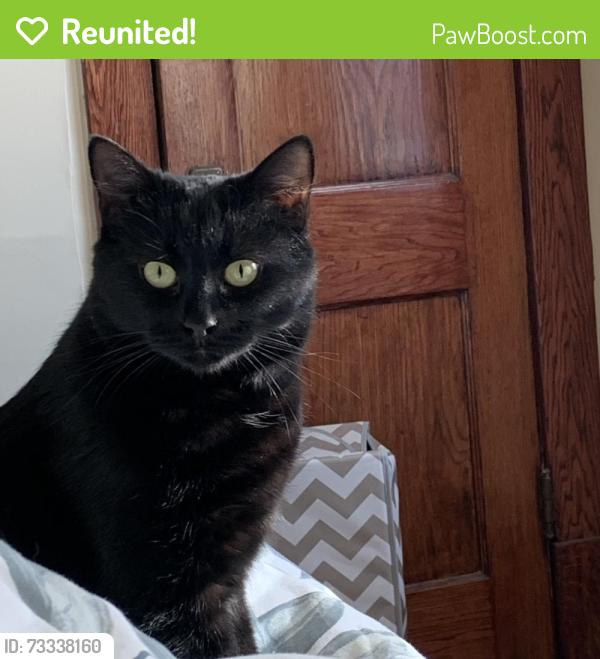 Reunited Female Cat last seen On Ash Street (even numbers) between Grosvenor and Corydon., Winnipeg, MB R3N 0R2