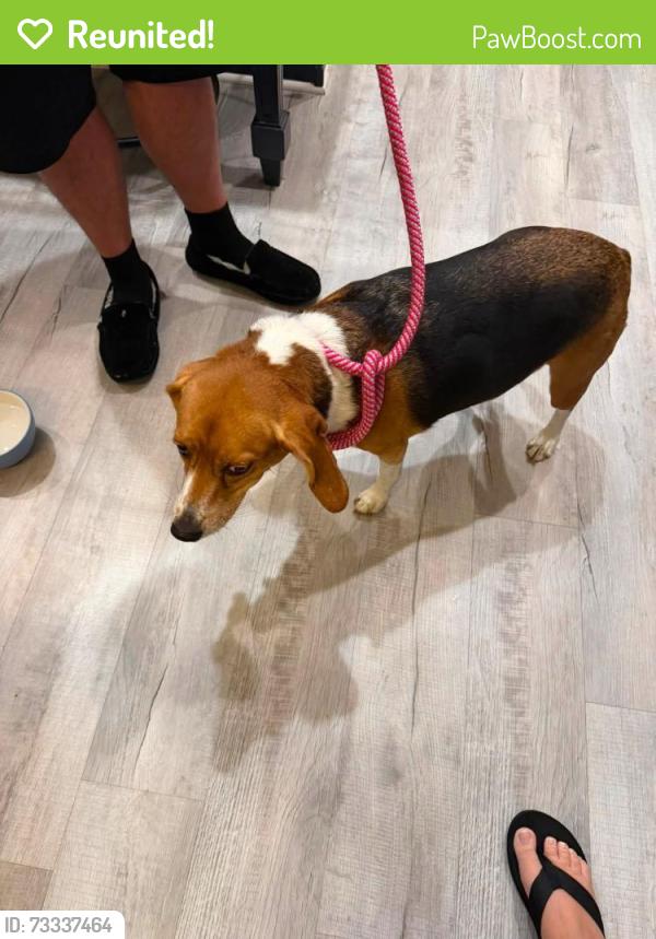 Reunited Female Dog last seen Jonesville re, Simpsonville, SC 29681