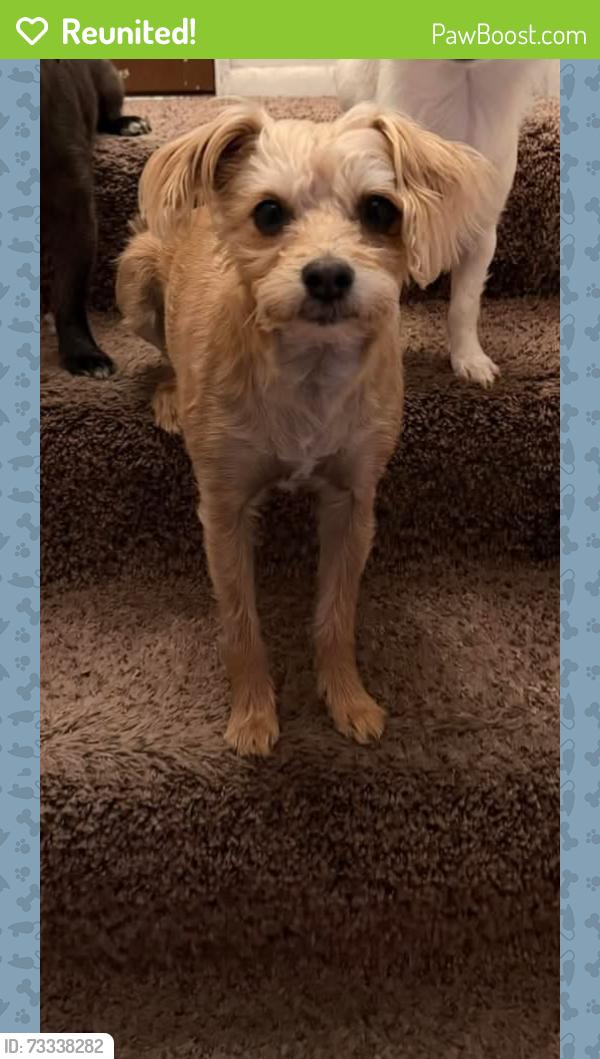 Reunited Male Dog last seen Near South 700 East, Sandy, UT 84070