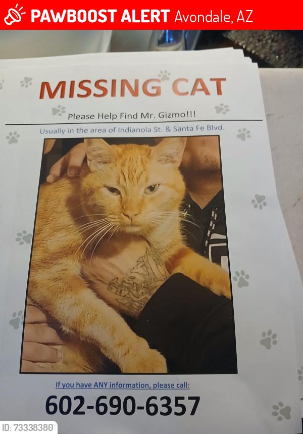 Lost Male Cat last seen Outside Our white Statues Near cemetry Indianola Ave/Sante Fe Trail, Avondale, AZ 85392