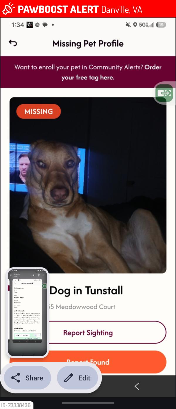 Lost Female Dog last seen Off mount cross, Danville, VA 24540