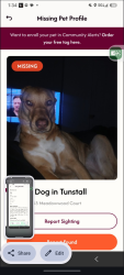 Lost Female Dog last seen Off mount cross, Danville, VA 24540