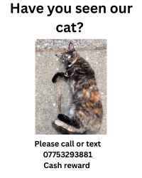 Reunited Female Cat last seen Myatts fields, Greater London, England 