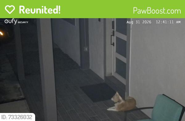 Reunited Unknown Dog last seen Near sw 31 dr, West Park, FL 33023