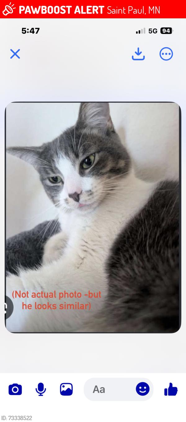 Lost Male Cat last seen Farrington, Saint Paul, MN 55103