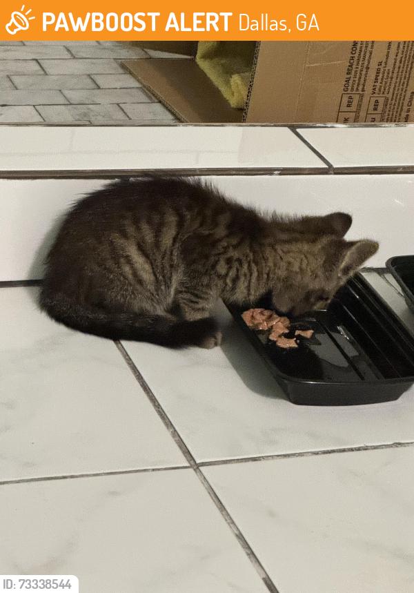 Found/Stray Male Cat last seen Sudie Communities, Dallas, GA 30157