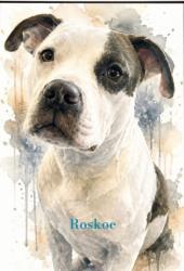 Reunited Male Dog last seen Hwy 140, Canton, GA 30183