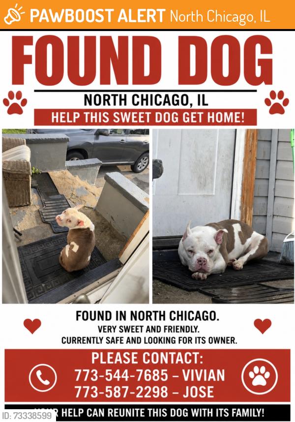 Found/Stray Male Dog last seen 17th and sheridan, North Chicago, IL 60064