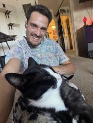 Found/Stray Male Cat last seen Pacific Park and Summerfield, Aliso Viejo, CA 92656