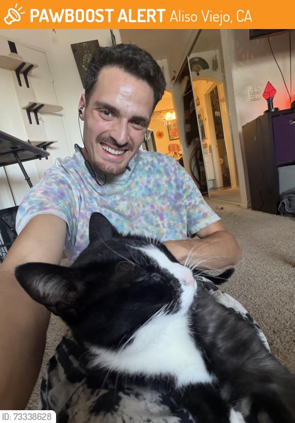 Found/Stray Male Cat last seen Pacific Park and Summerfield, Aliso Viejo, CA 92656