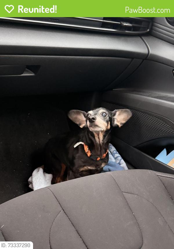 Reunited Female Dog last seen Cherry Lake Park, Groveland, FL 34736