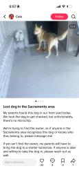 Found/Stray Unknown Dog last seen Sacramento, Sacramento, CA 95814