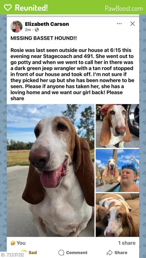 Reunited Female Dog last seen Near and 491, Homosassa, FL 34446