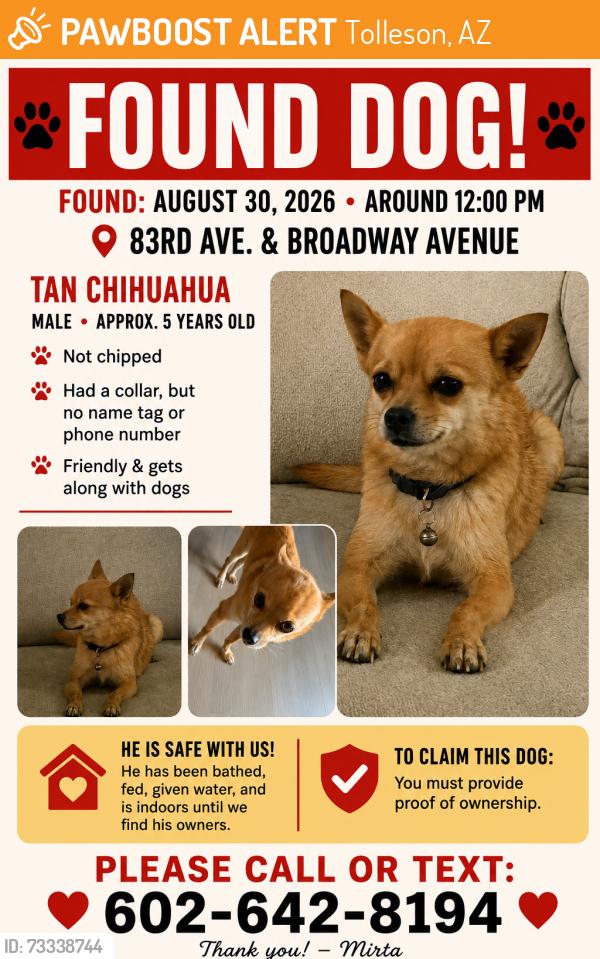 Found/Stray Male Dog last seen 83rd Ave and Broadway, Tolleson, AZ 85353
