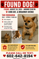 Found/Stray Male Dog last seen 83rd Ave and Broadway, Tolleson, AZ 85353