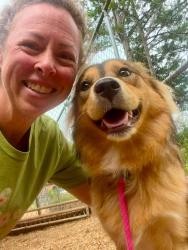 Reunited Female Dog last seen Lakeview Baptist Church, Monarch Senior Living, Auburn, AL 36830