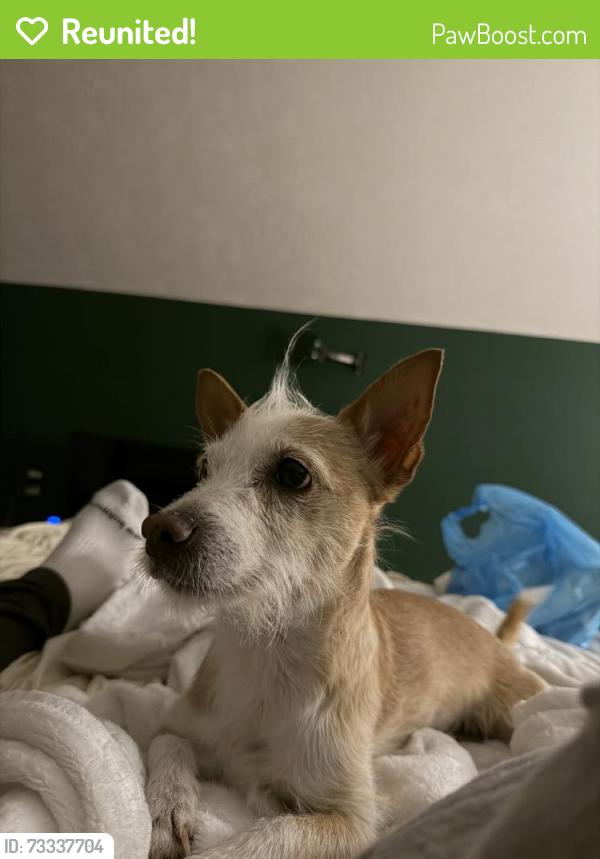 Reunited Male Dog last seen Spreading Branch Rd, Hope Mills, NC 28348, USA, Hope Mills, NC 28348