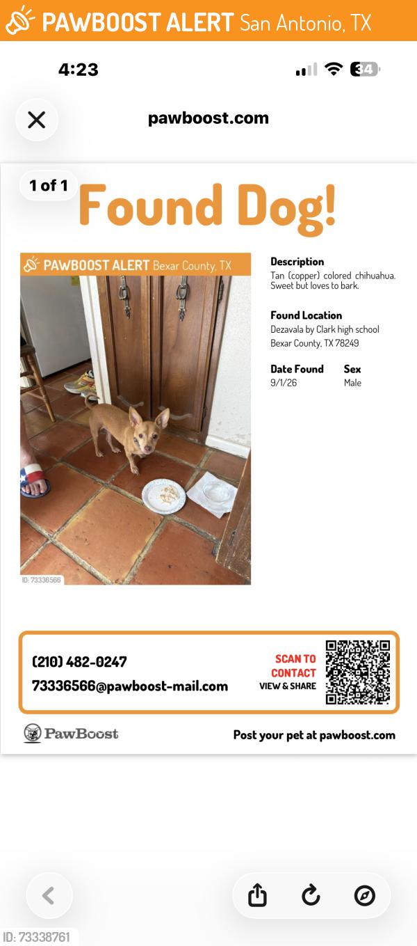Found/Stray Male Dog last seen Dezavala by Clark High School, San Antonio, TX 78249