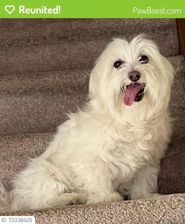 Reunited Female Dog last seen Starlight Drive is accessed from Century Drive, which connects to McCole Road and then Route 209 (Milford Road), East Stroudsburg, PA 18302