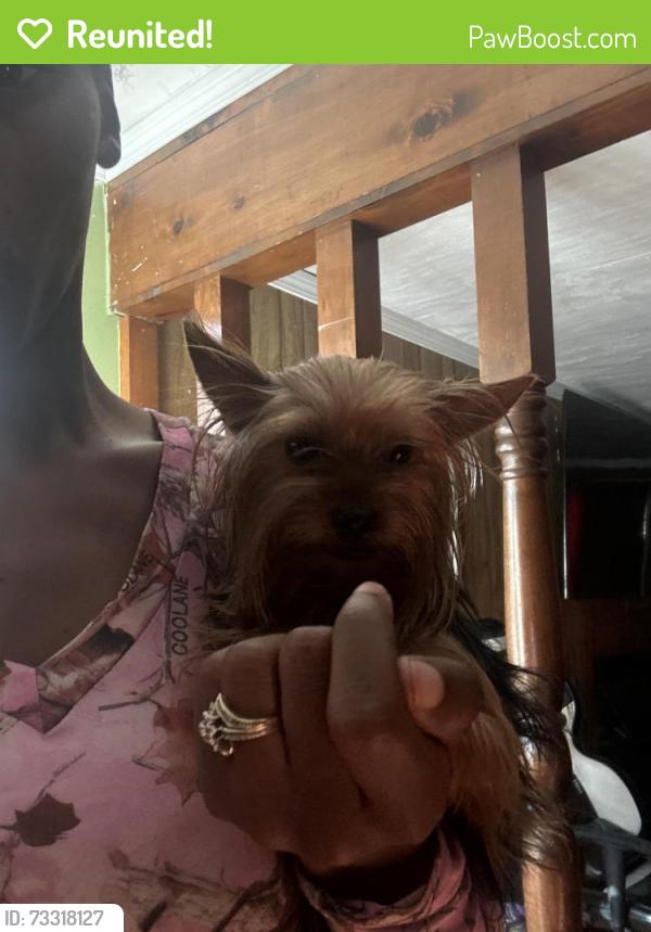 Reunited Female Dog last seen Moss st, Lafayette, LA 70501