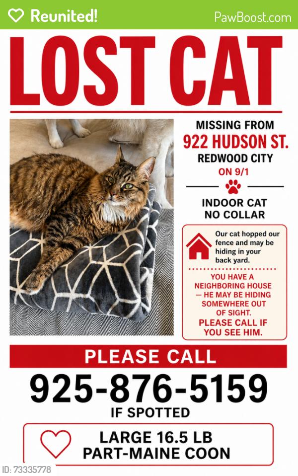Reunited Male Cat last seen Roosevelt and Vera, Redwood City, CA 94061