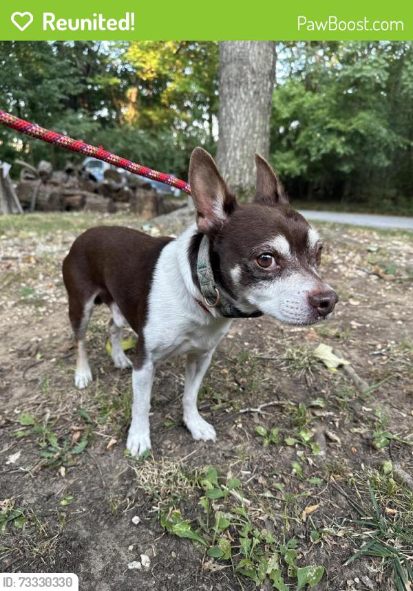 Reunited Male Dog last seen College and sycamore, Fayetteville, AR 72703