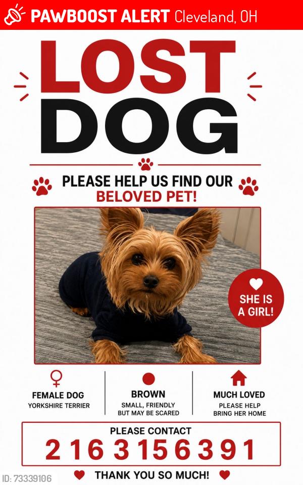 Lost Female Dog last seen Henritze Avenue, Cleveland, OH 44109